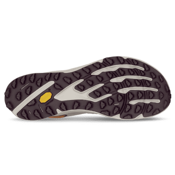 Topánky Altra Timp 6 Men TAUPE