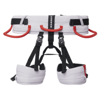 Sedák Mammut Ophir Kids 2.0 alpine calamint-mammut red