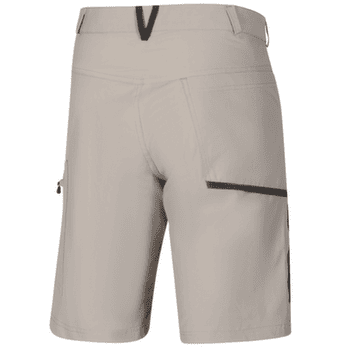 Kraťasy Direct Alpine Mordor Short 1.0 stone/anthracite