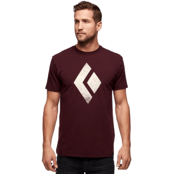 Chalked Up Tee SS Men Port