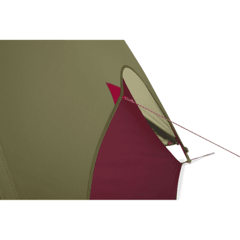 Stan MSR FreeLite 2 Green Tent V3