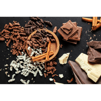 Strava Sens Cvrčci v čokoládě - Dárkový set 4 chutí