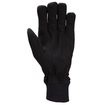Pollux Glove Men 10000