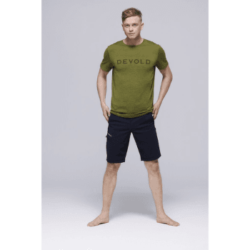 Triko krátký rukáv Devold Logo Tee Men 395A Green