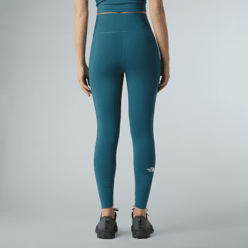 Legíny The North Face FLEX WARM TIGHTS Women TNF BLACK