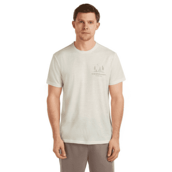 Triko krátký rukáv Icebreaker Merino 150 Tech Lite SS Tee IB Wordmark Men FLAGSTONE
