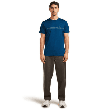 Tričko krátky rukáv Icebreaker Merino 150 Tech Lite SS Tee Range Stripes Men ATLANTIS