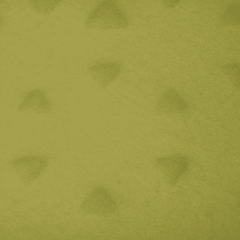 Karimatka Sea to Summit Camp Self Inflating Mat Tarragon