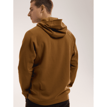 Mikina Arcteryx Rethel Hoody Men Relic