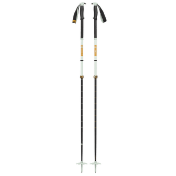 Palice Black Diamond TRAVERSE PRO SKI POLES Foam Green