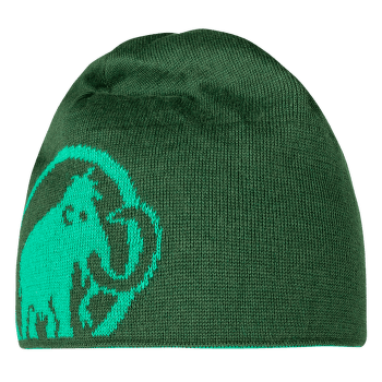 Čiapka Mammut Mammut Logo Beanie (1191-04891) light emerald-woods