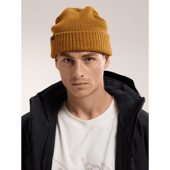 Čiapka Arcteryx Mallow Toque Tatsu