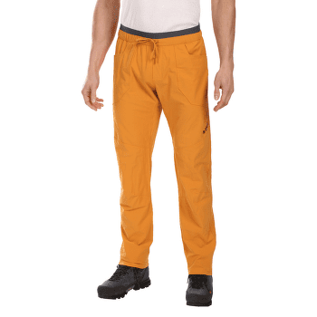 Kalhoty Direct Alpine Solo Pants arctic