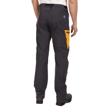 Kalhoty Direct Alpine Cruise 2.0 Pant Men navy/anthracite