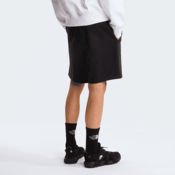 Kraťasy The North Face Box NSE Light Regular Shorts Men TNF BLACK