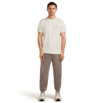 Triko krátký rukáv Icebreaker Merino 150 Tech Lite SS Tee IB Wordmark Men FLAGSTONE