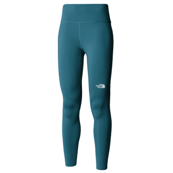 Legíny The North Face FLEX WARM TIGHTS Women BQ5 SPACE