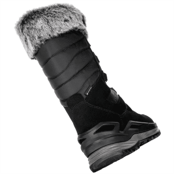 Boty Lowa Alba Evo GTX Women schwarz/anthrazit