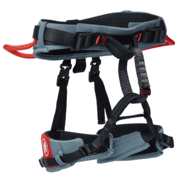 Sedák Mammut Ophir Kids 2.0 alpine calamint-mammut red