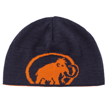 Čiapka Mammut Mammut Logo Beanie (1191-04891) arumita-night