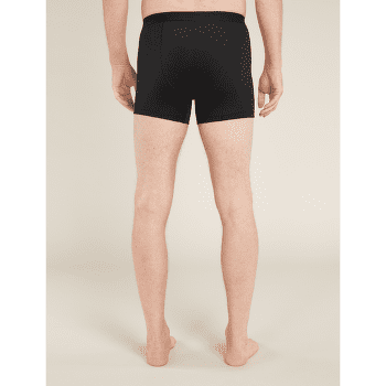 Boxerky Icebreaker Merino 125 Anatomica Cool-Lite Boxers Men PORT