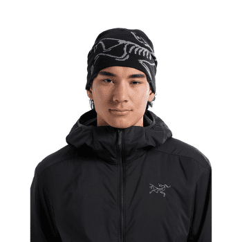 Čiapka Arcteryx Lightweight Bird Head Toque Soulsonic / Alpen