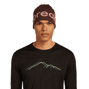 Čepice Icebreaker Merino Icebreaker Beanie BLACK/ECRU HTHR