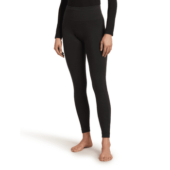 Legíny Icebreaker Merino Seamless Active 25 inch Tights Women BLACK