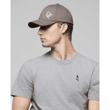 Čepice Norrona /29 Flexfit Cap Pale Grey