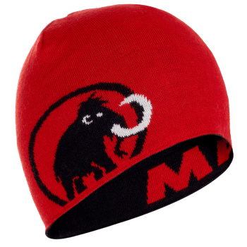 Čepice Mammut Mammut Logo Beanie 00093 black-magma