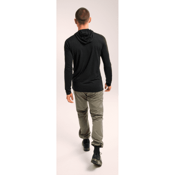 Mikina Arcteryx Ionia Hoody Men Black