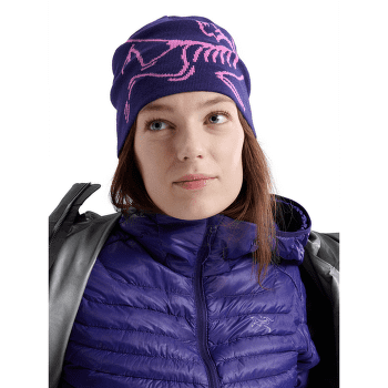 Čiapka Arcteryx Lightweight Bird Head Toque Soulsonic / Alpen