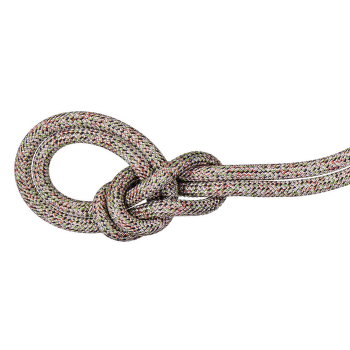 Lano Mammut 9.5 Crag We Care Classic Rope assorted 9000
