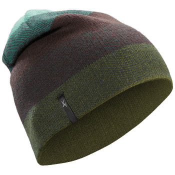 Čiapka Arcteryx Charleson Toque Galaxy Dust