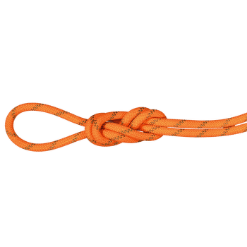 Lano Mammut 8.0 Alpine Dry Rope Safety orange-boa 11238