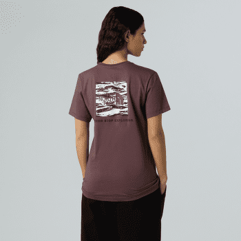 Triko krátký rukáv The North Face BOX NSE EDGE OF LIGHT INFILL RELAXED S Women ES9 TAWNY QUARTZ/TNF BLACK EDGE OF LIGHT PRINT