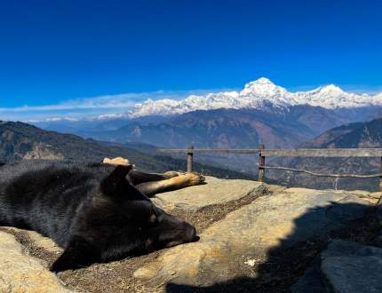 Nepál - osmý div světa (1)