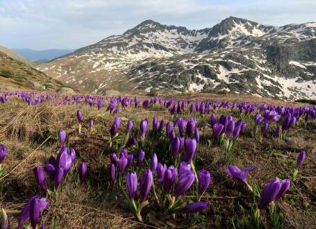 Bulharsko: Přechod pohoří Rila