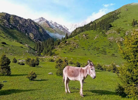 Dvě holky divokým Kyrgyzstánem