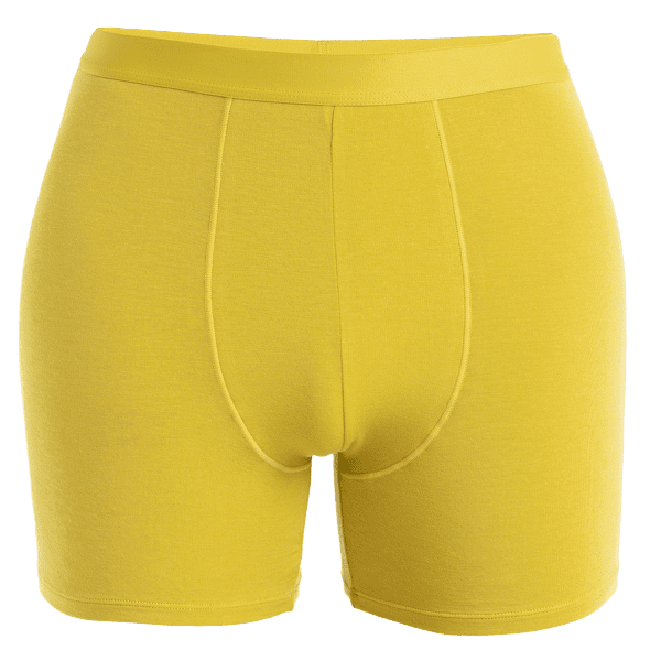 Boxerky Icebreaker Merino Core Boxers Men LUX