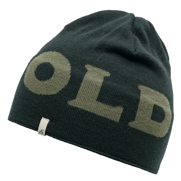 Čepice Devold LOGO BEANIE Devold 427A WOODS