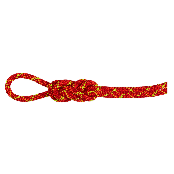 Lano Mammut 8.0 Alpine Core Protect Dry Rope 3788 fire-halo