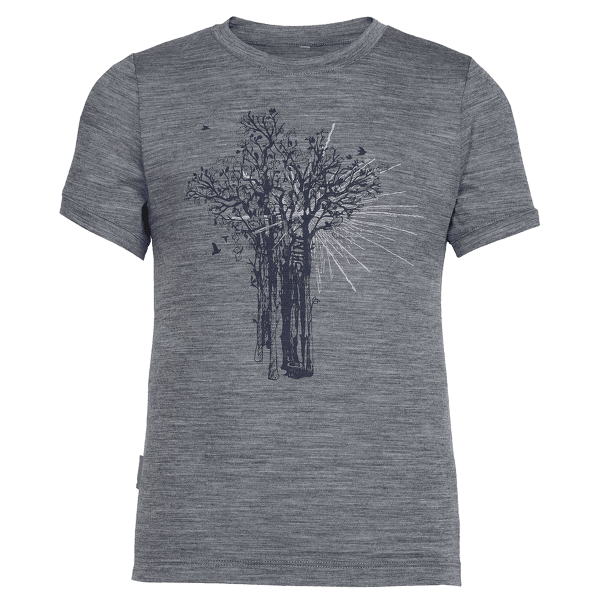 Tričko krátky rukáv Icebreaker Tech Lite SS Shine Big Girl Gritstone HTHR IBANS_00894