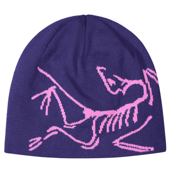 Čiapka Arcteryx Lightweight Bird Head Toque Soulsonic / Alpen