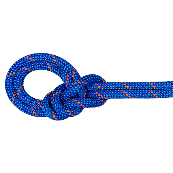 Lano Mammut 9.5 Crag Dry Rope 50624 blue-ocean