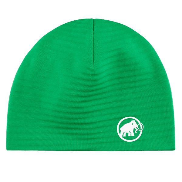 Čiapka Mammut Taiss Light Beanie 40306 pinea