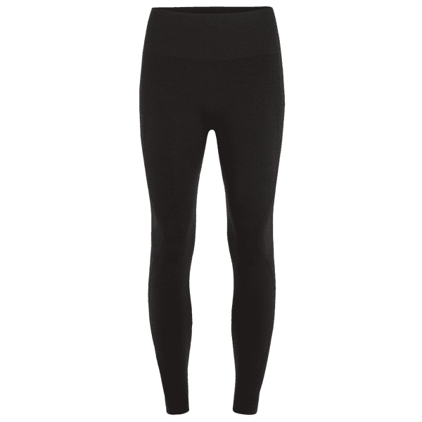 Legíny Icebreaker Merino Seamless Active 25 inch Tights Women BLACK