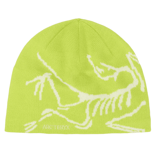 Čiapka Arcteryx Bird Head Toque Mantis / Arctic Silk