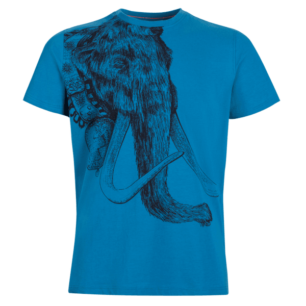 Triko krátký rukáv Mammut Mammut Logo T-Shirt Men (1017-07295) sapphire 50226