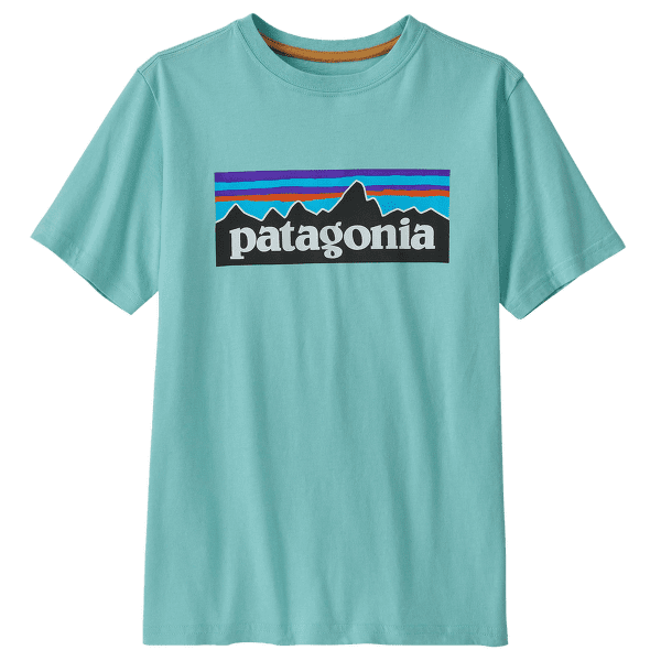 Triko krátký rukáv Patagonia Regenerative Organic Certified Cotton P-6 Logo T-Shirt Kids Skiff Blue